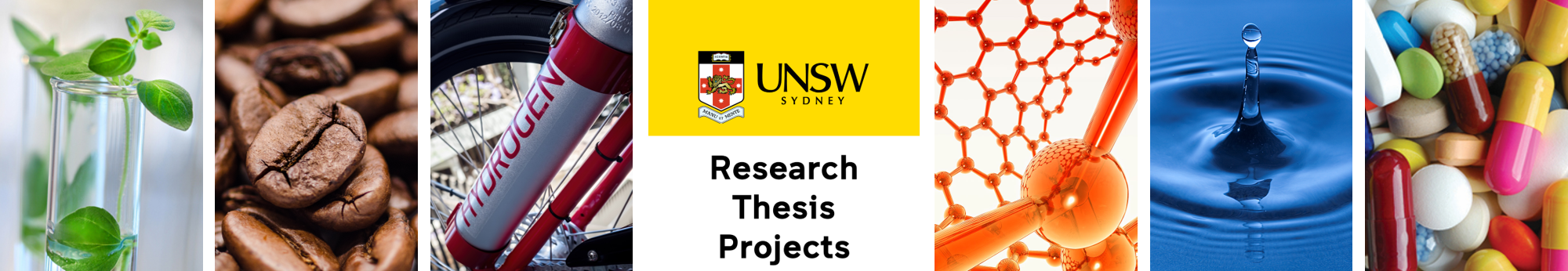 unsw thesis a